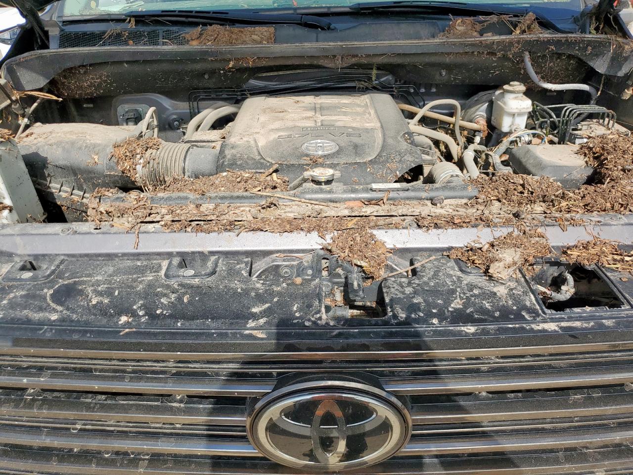 2021 Toyota Tundra Crewmax Limited VIN: 5TFHY5F14MX040801 Lot: 65092715