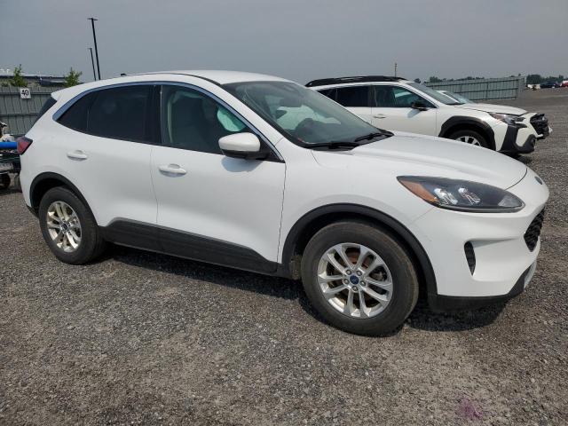  FORD ESCAPE 2020 White