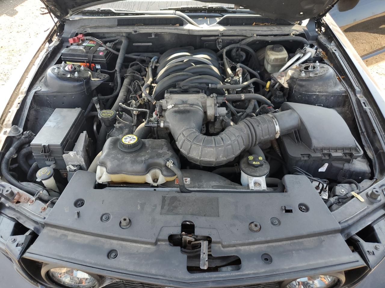 2006 Ford Mustang Gt VIN: 1ZVHT82H765212639 Lot: 64985465