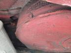 1989 VOLKSWAGEN POLO CL for sale at Copart WESTBURY