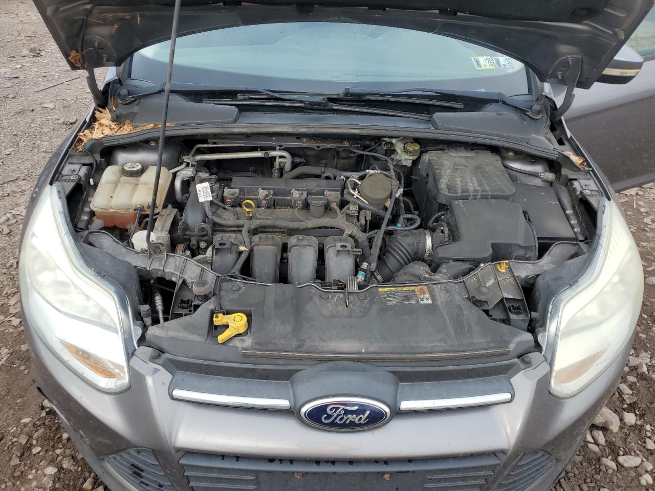 2013 Ford Focus Se VIN: 1FADP3F29DL224708 Lot: 64996655