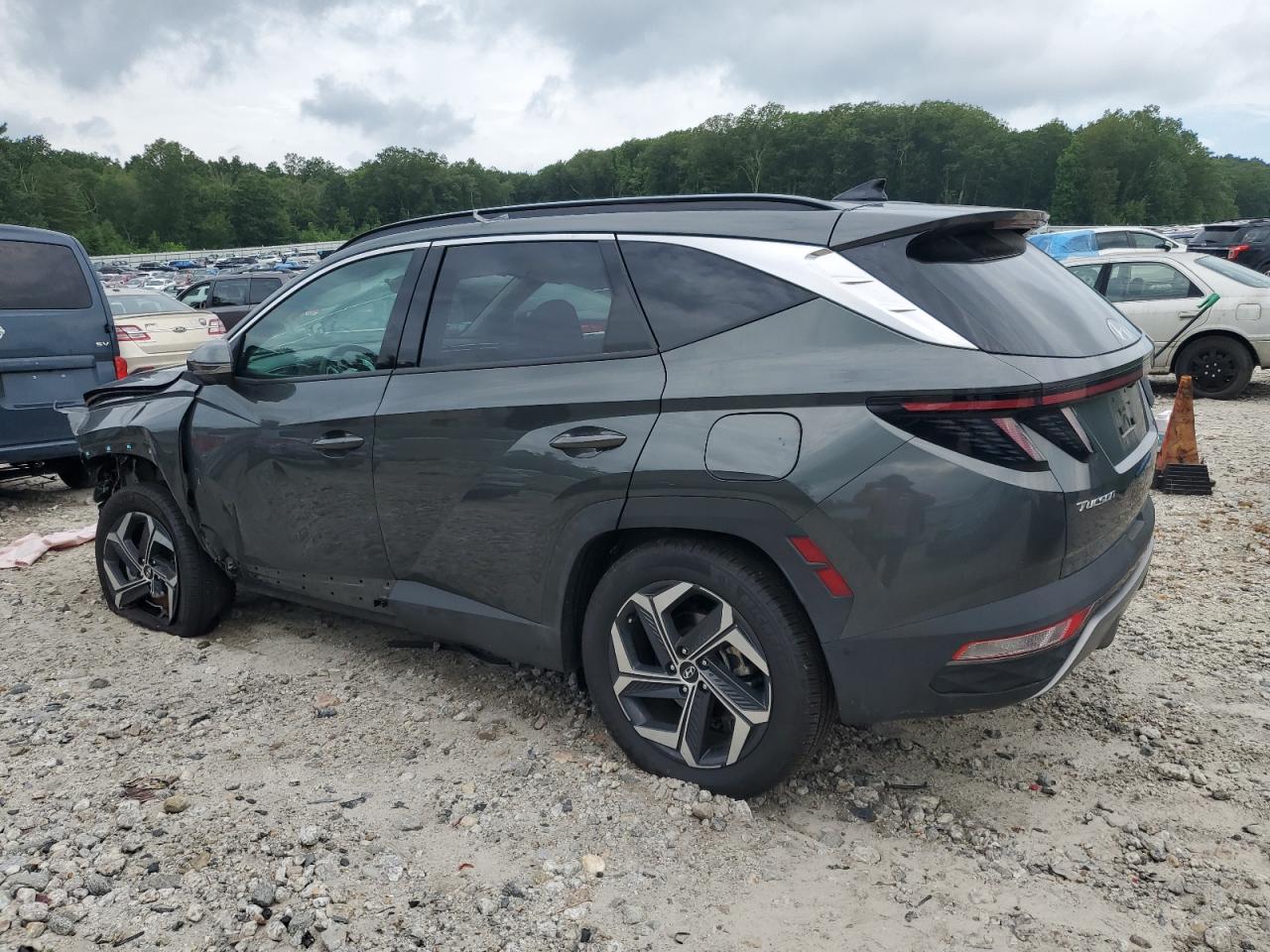 2024 Hyundai Tucson Limited VIN: KM8JECD11RU230478 Lot: 63561615