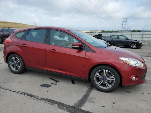 Hatchbacks FORD FOCUS 2014 Maroon