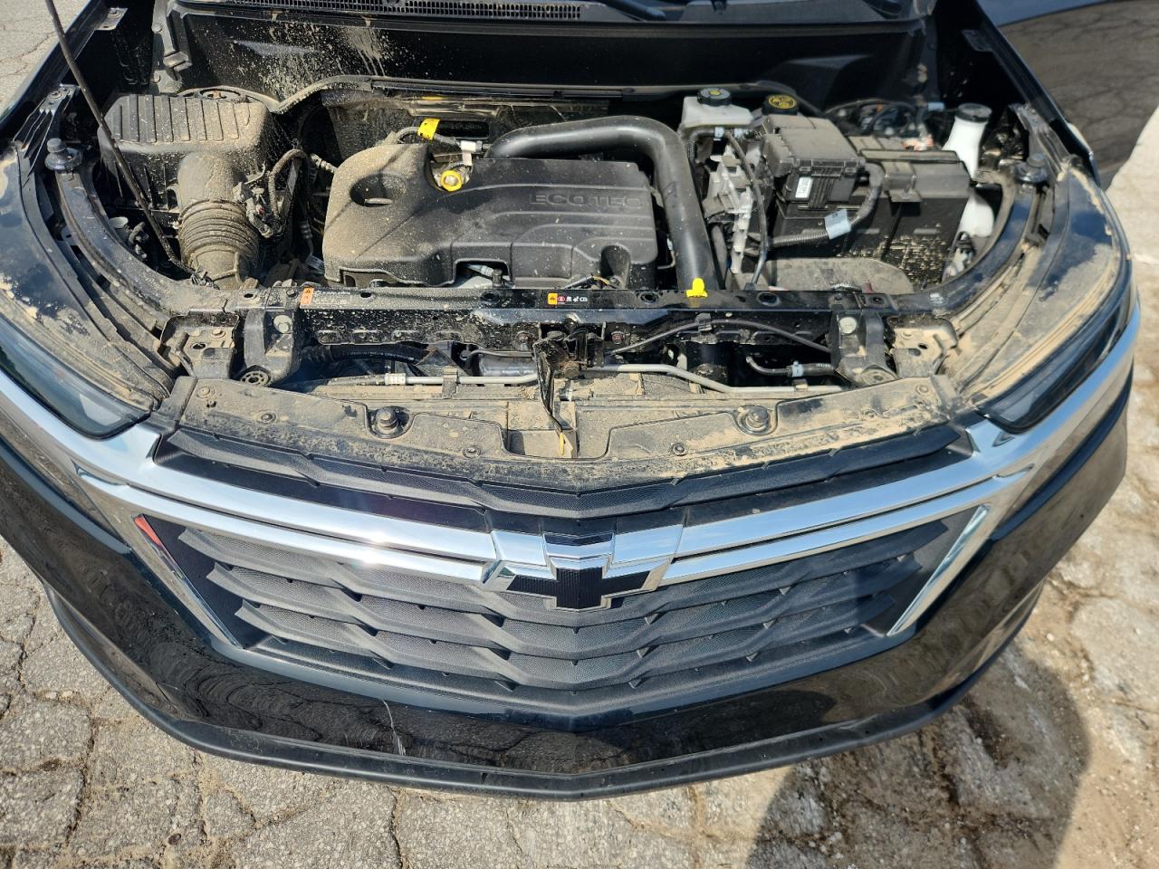 2023 Chevrolet Equinox Ls VIN: 3GNAXSEGXPL224477 Lot: 65245775