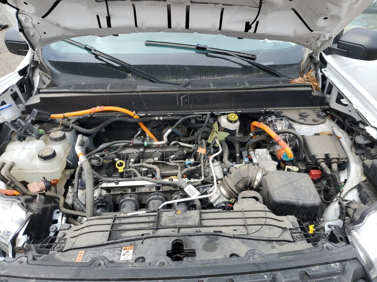 3fttw8a33rra76201 3FTTW8A33RRA76201 2024 Ford Maverick Xl