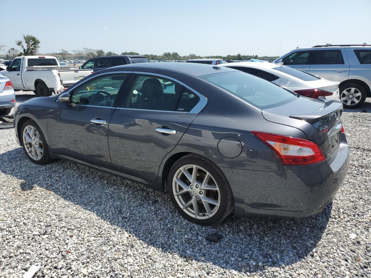 2009 Nissan Maxima S VIN: 1N4AA51E59C820357 Lot: 65883105