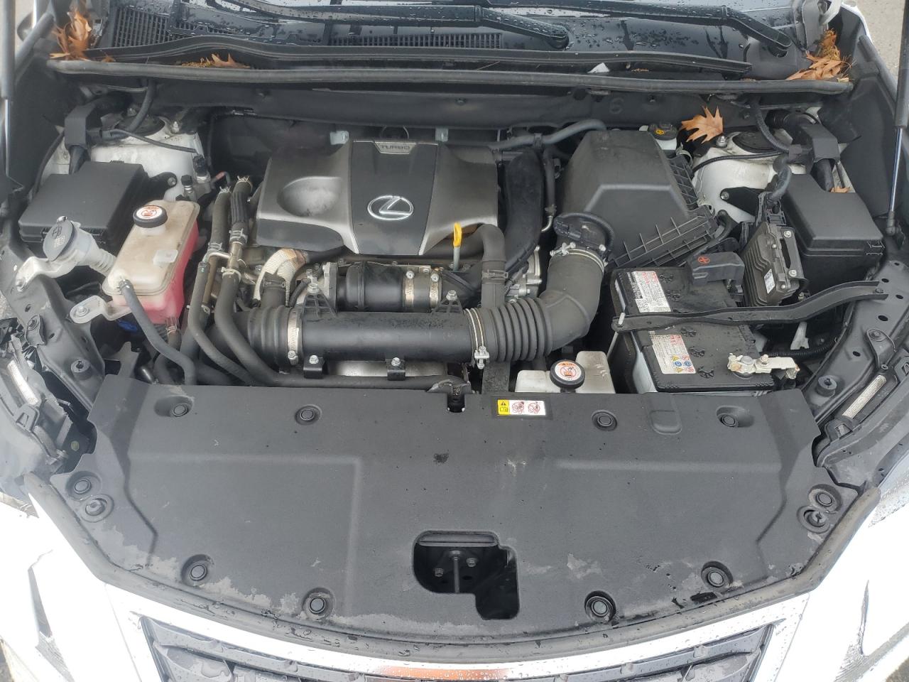 2021 Lexus Nx 300 Base VIN: JTJDARDZ8M5022281 Lot: 63231995