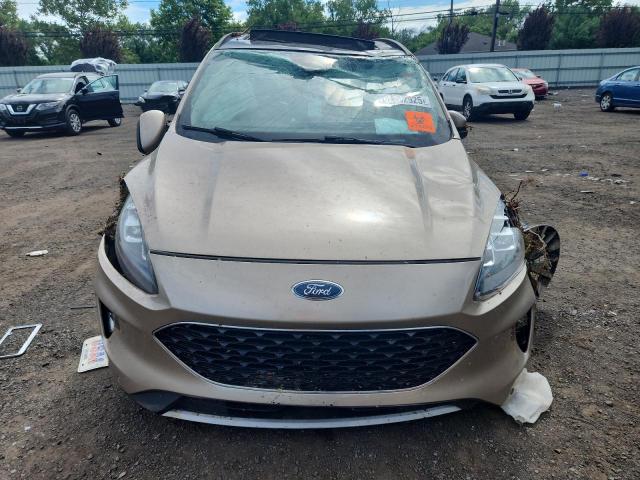  FORD ESCAPE 2020 tan