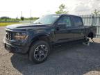 2024 FORD F150 STX   for sale at Copart ON - OTTAWA