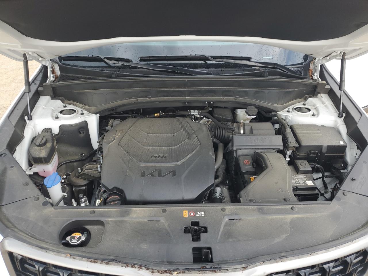 2023 Kia Telluride Sx VIN: 5XYP5DGC0PG403925 Lot: 64624295