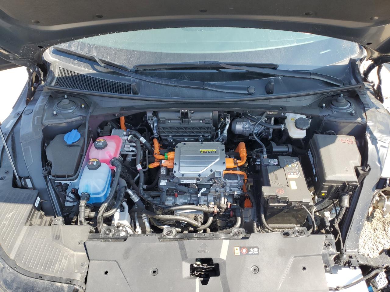 2024 Hyundai Ioniq 5 Sel VIN: KM8KNDDFXRU294136 Lot: 66180505