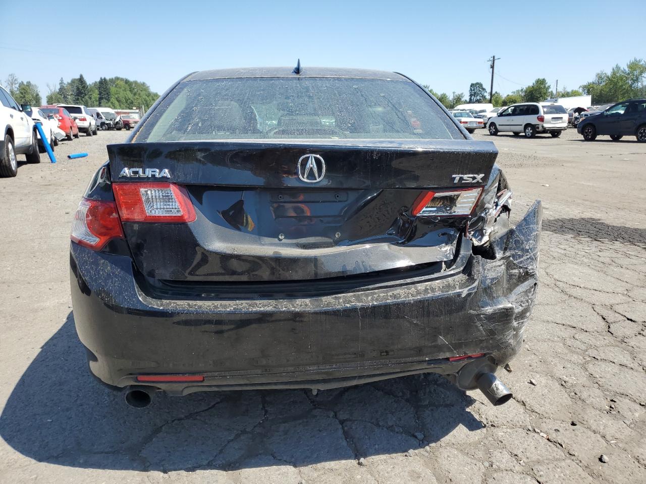 2010 Acura Tsx VIN: JH4CU2F64AC012207 Lot: 65645215