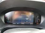 2023 FORD ESCAPE ST LINE   for sale at Copart ON - OTTAWA