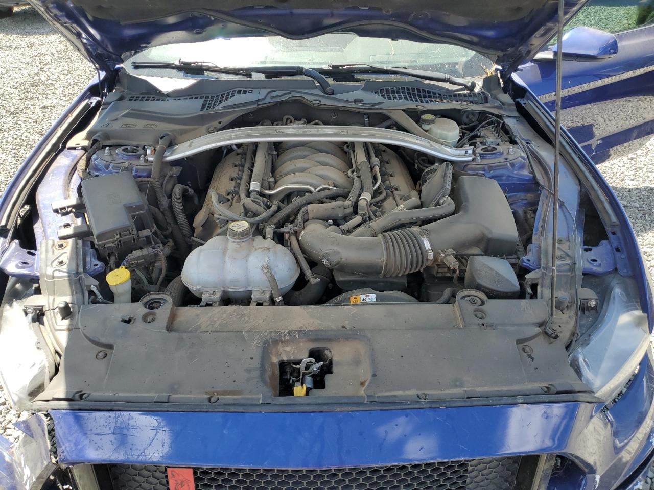 2015 Ford Mustang Gt VIN: 1FA6P8CF8F5431871 Lot: 63925245