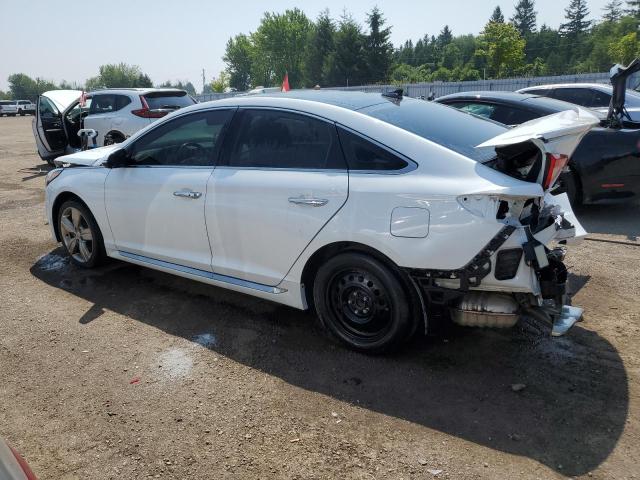 Sedans HYUNDAI SONATA 2017 White