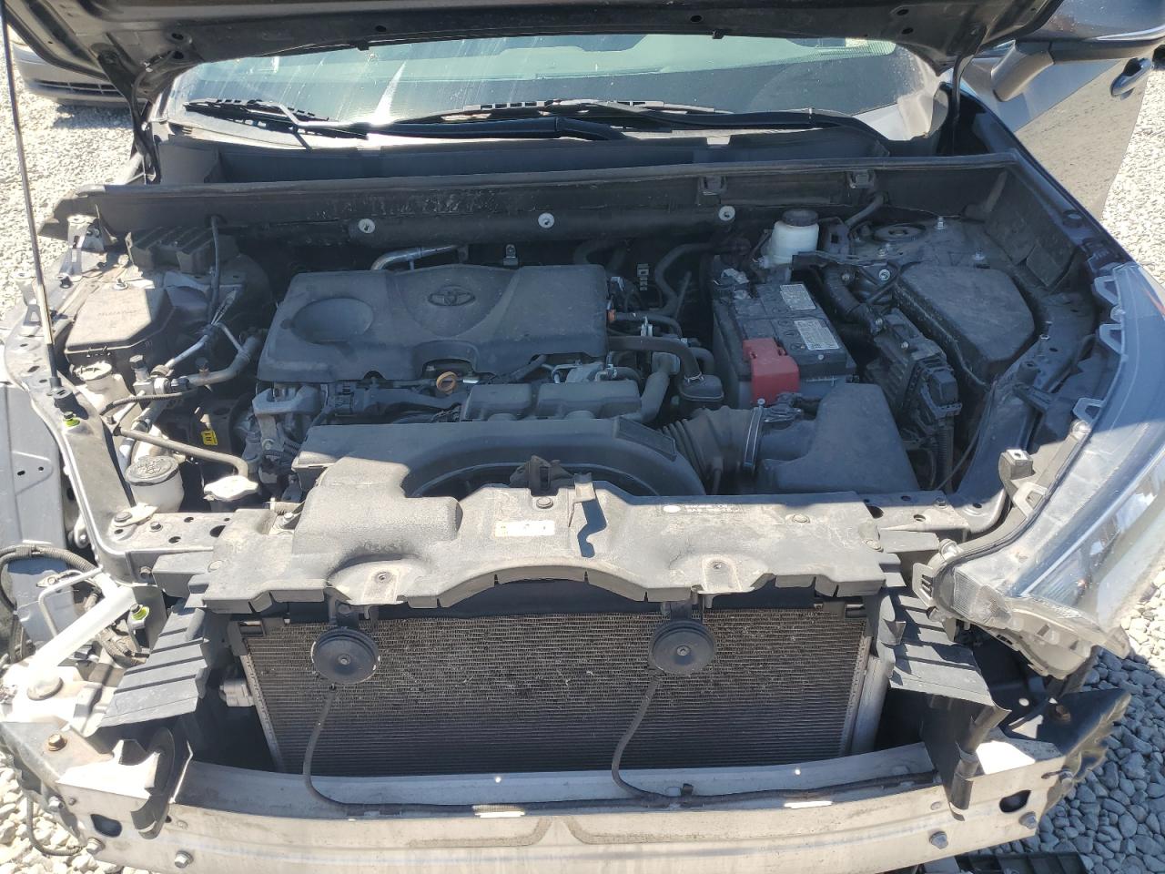 2021 Toyota Rav4 Xle VIN: 2T3P1RFV0MC166024 Lot: 64775425