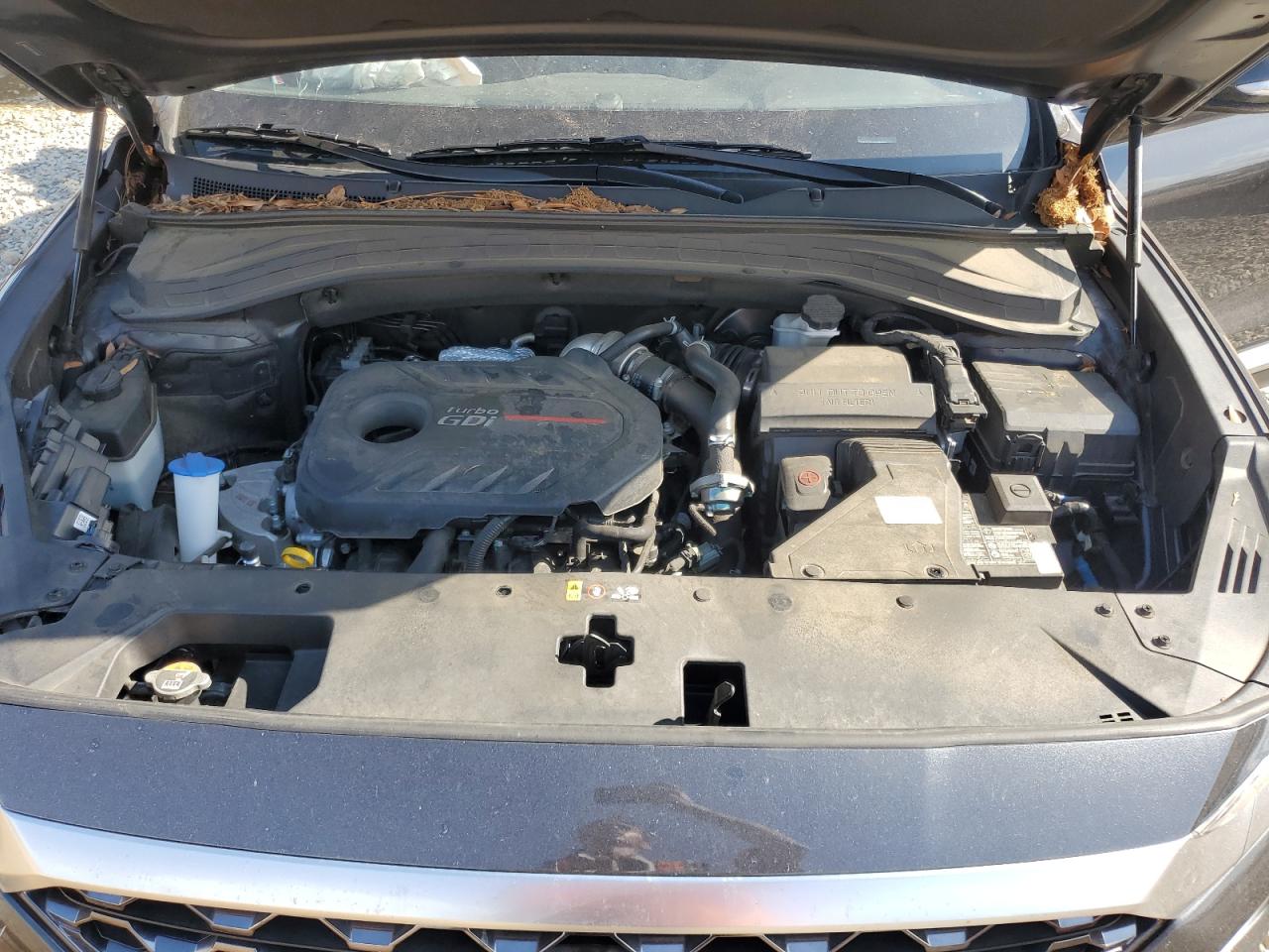 2020 Hyundai Santa Fe Sel VIN: 5NMS33AA1LH283568 Lot: 64987485