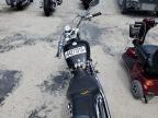 2001 HONDA VT1100 C2   for sale at Copart FL - ORLANDO NORTH