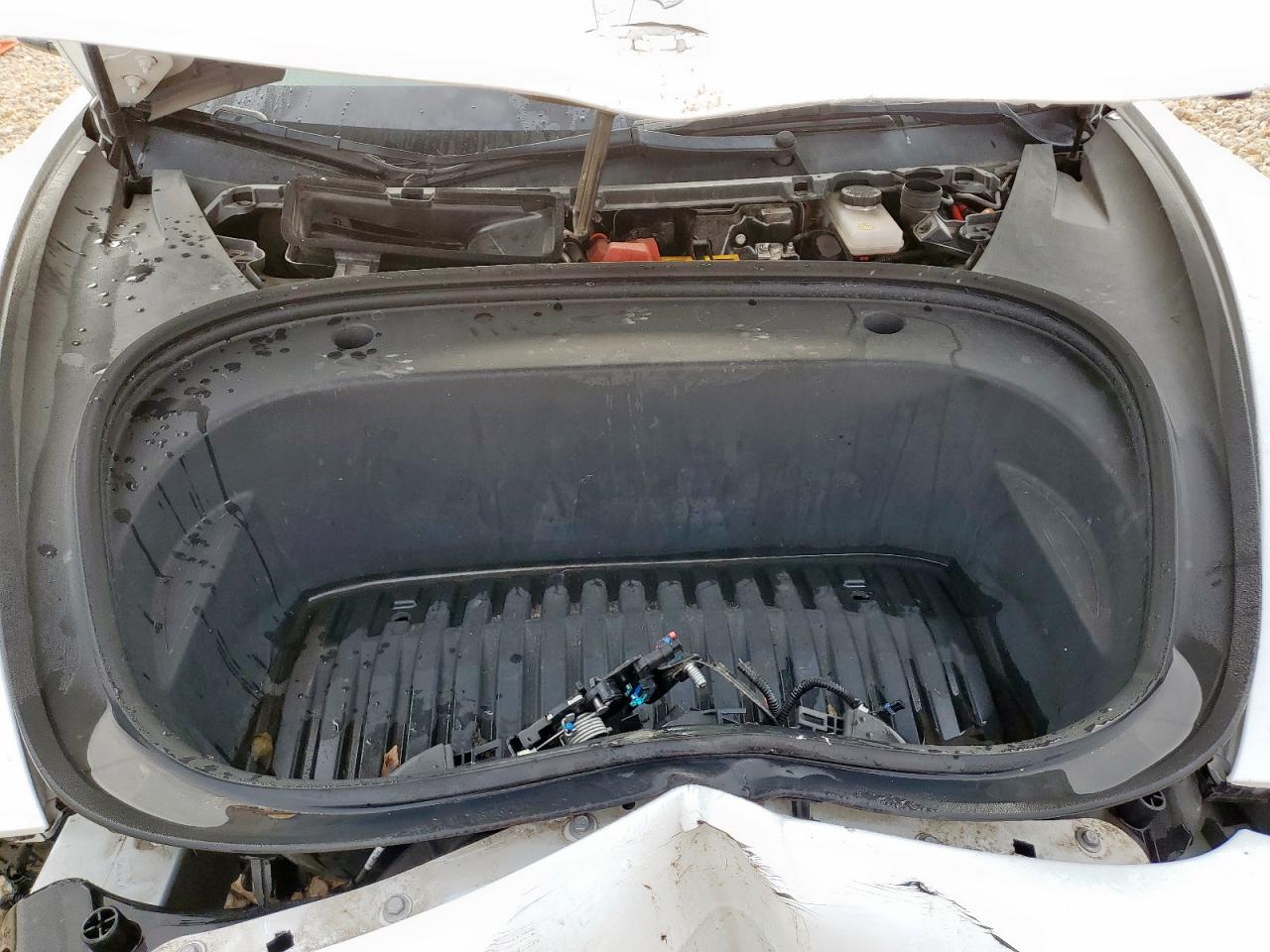 2022 Tesla Model 3 VIN: 5YJ3E1EB4NF132895 Lot: 64311285