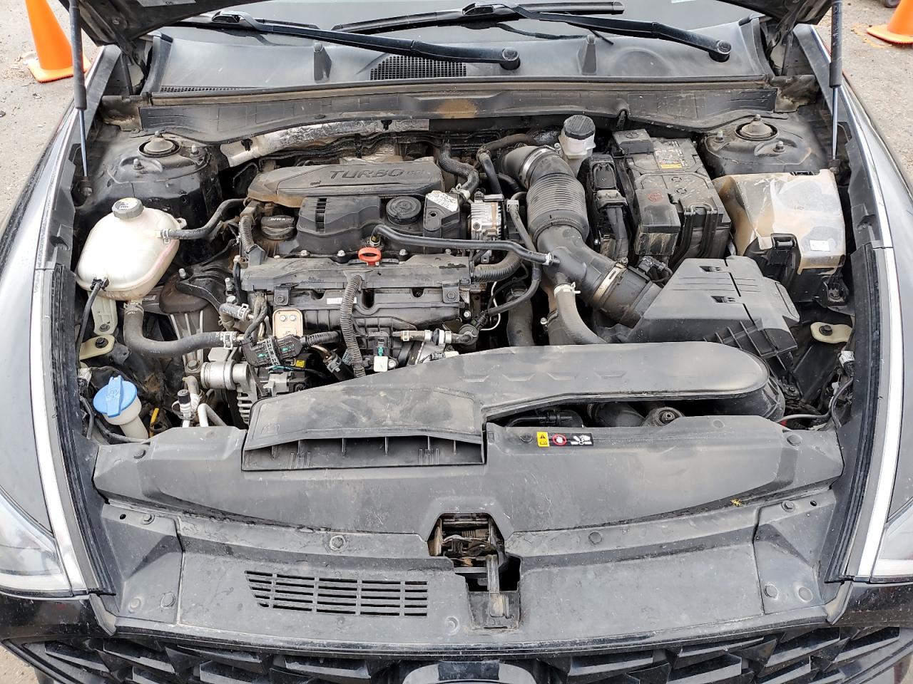 2021 Hyundai Sonata Limited VIN: KMHL34J21MA156670 Lot: 66473045