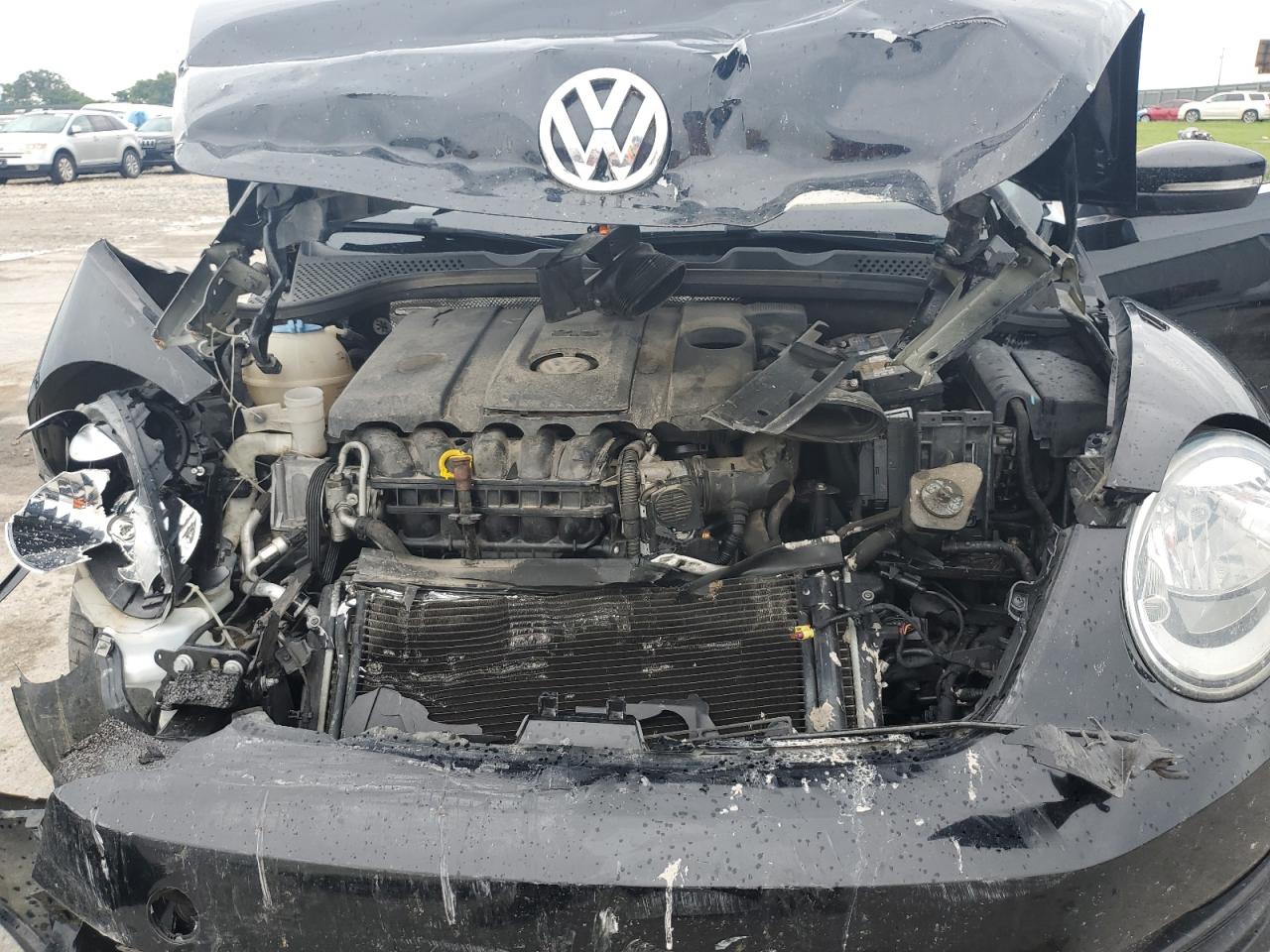 2013 Volkswagen Beetle VIN: 3VW5X7ATXDM831704 Lot: 63710535