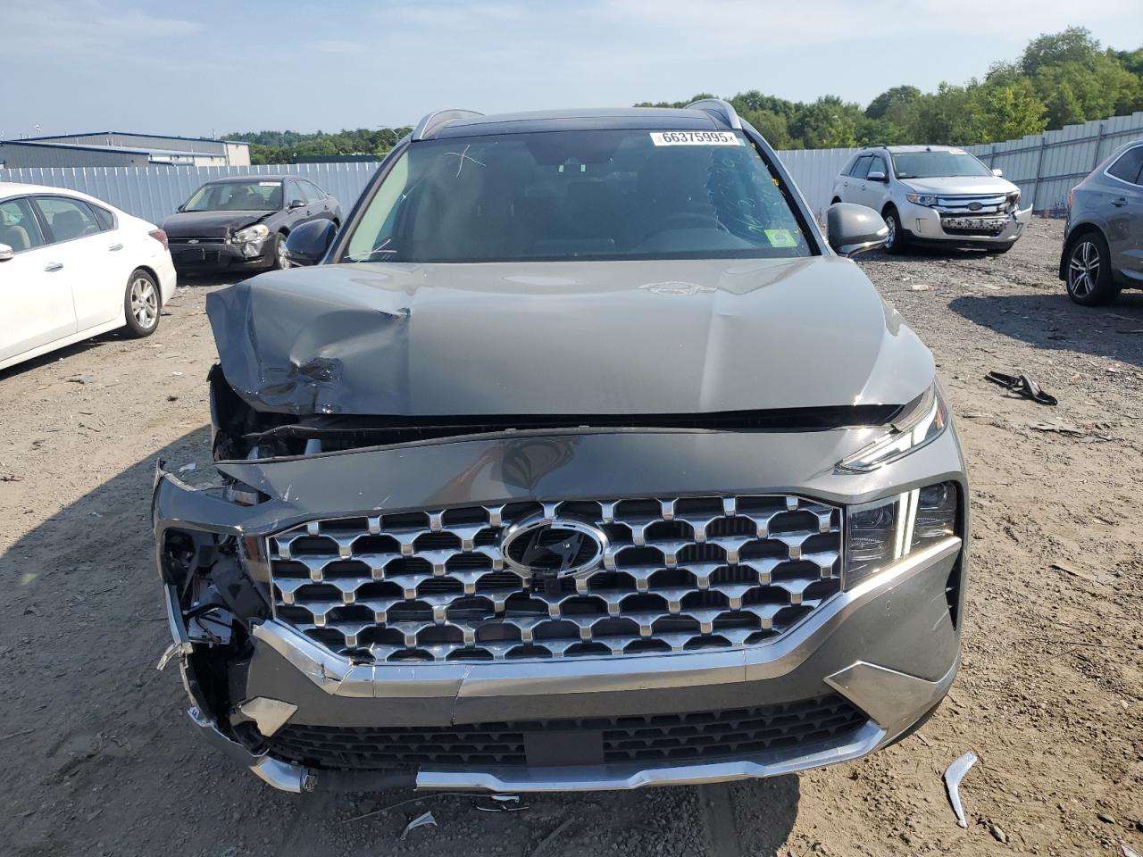 2023 Hyundai Santa Fe Limited VIN: 5NMS5DA16PH004895 Lot: 66375995