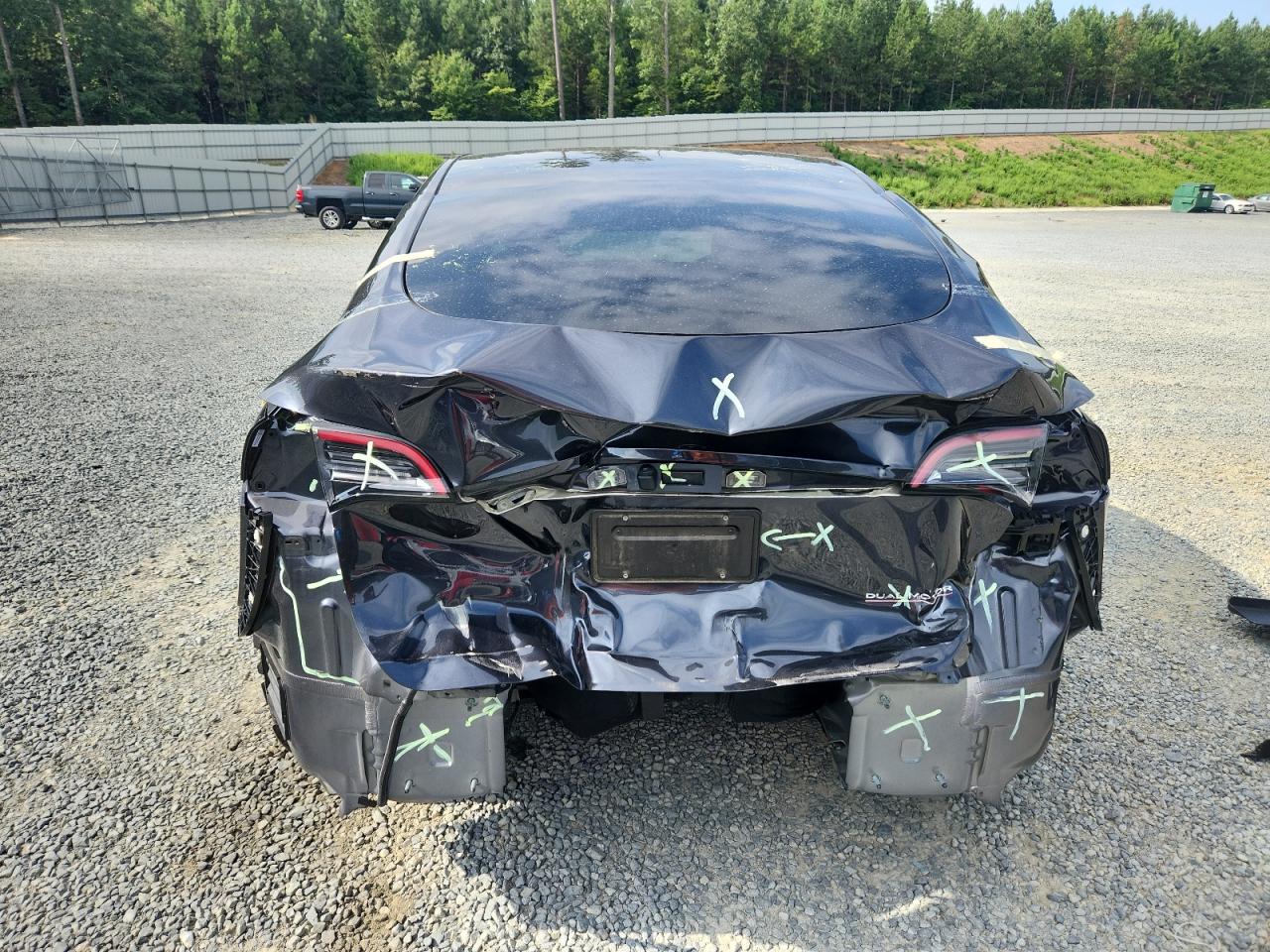 2024 Tesla Model Y VIN: 7SAYGDEF9RA322556 Lot: 64662035