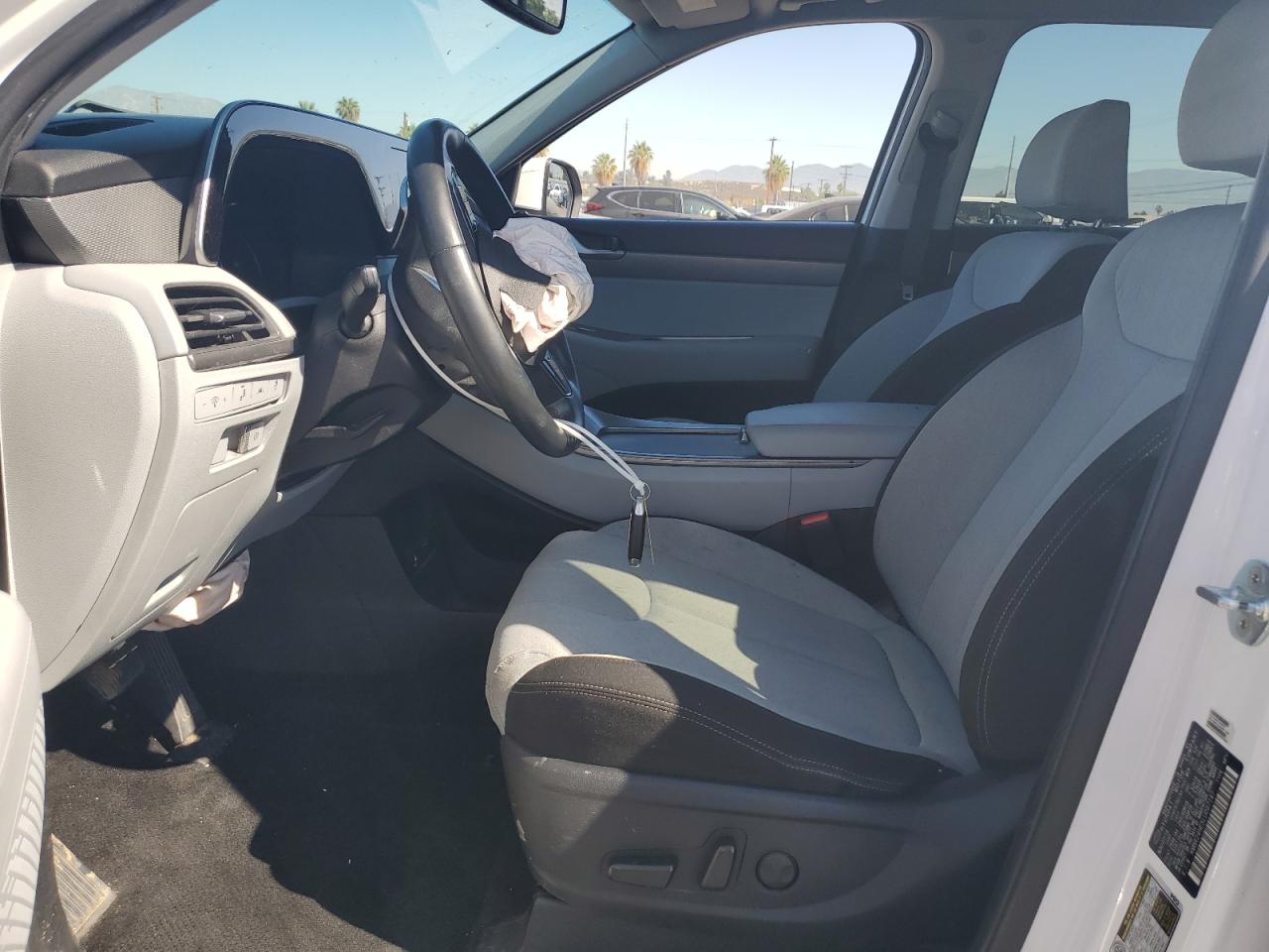 2020 Hyundai Palisade Sel VIN: KM8R24HE5LU097147 Lot: 63129895