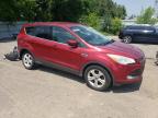 2014 FORD ESCAPE SE   à vendre chez Copart ON - LONDON