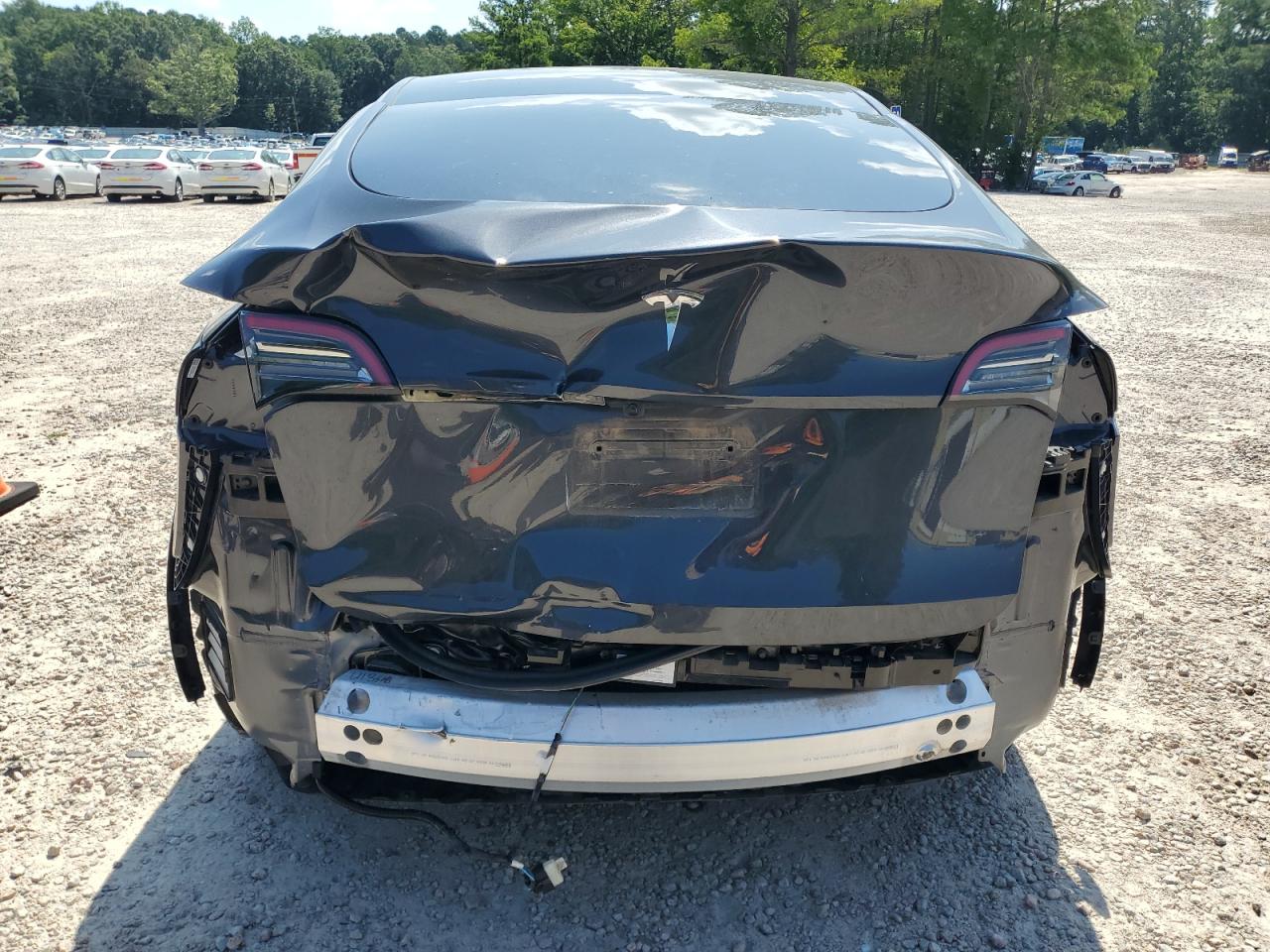 2024 Tesla Model Y VIN: 7SAYGDED1RF055527 Lot: 65991345