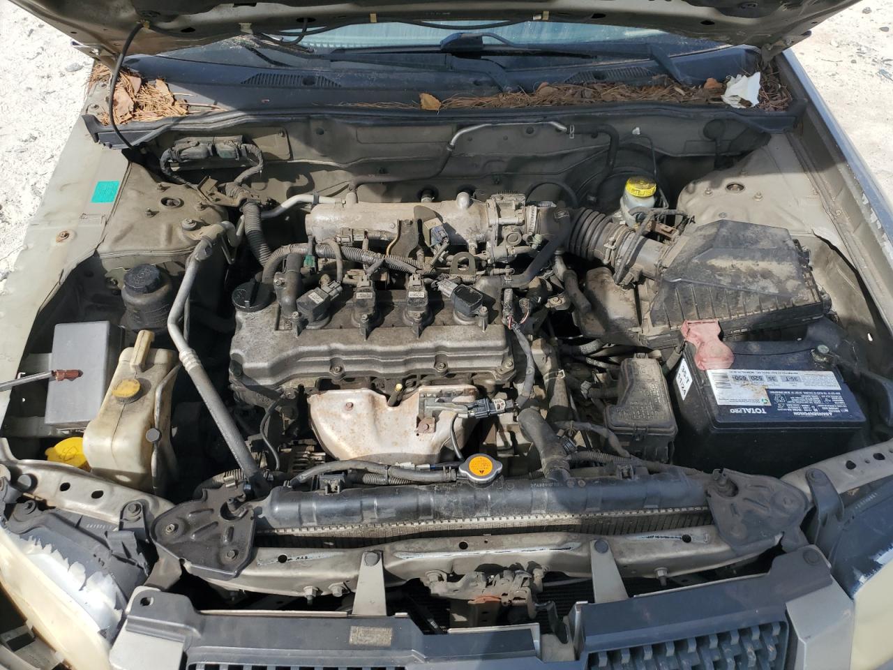 2005 Nissan Sentra 1.8 VIN: 3N1CB51D55L468776 Lot: 64104955