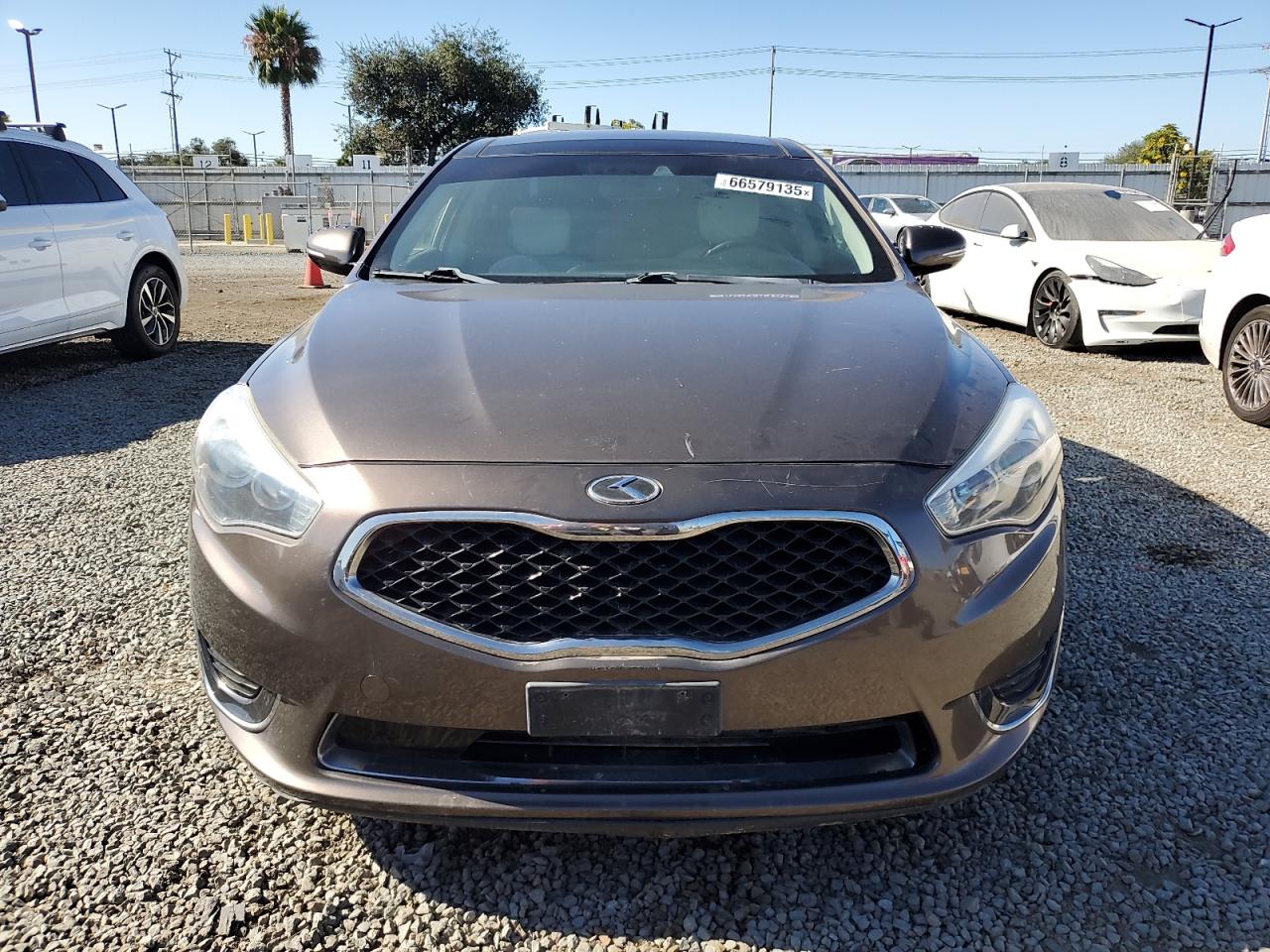 2014 Kia Cadenza Premium VIN: KNALN4D7XE5147981 Lot: 66579135