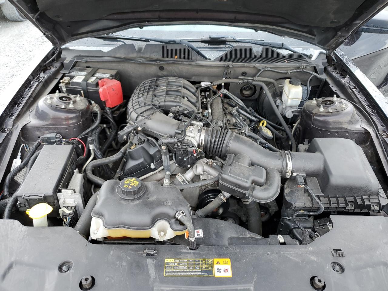 2012 Ford Mustang VIN: 1ZVBP8AM7C5231728 Lot: 62938805
