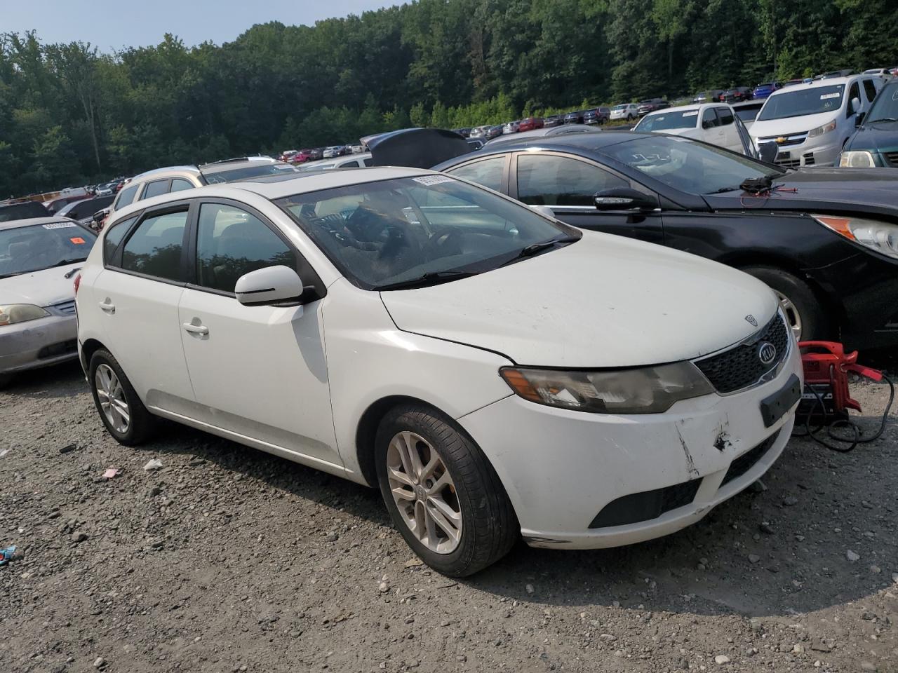 2011 Kia Forte Ex VIN: KNAFU5A29B5348135 Lot: 66319865