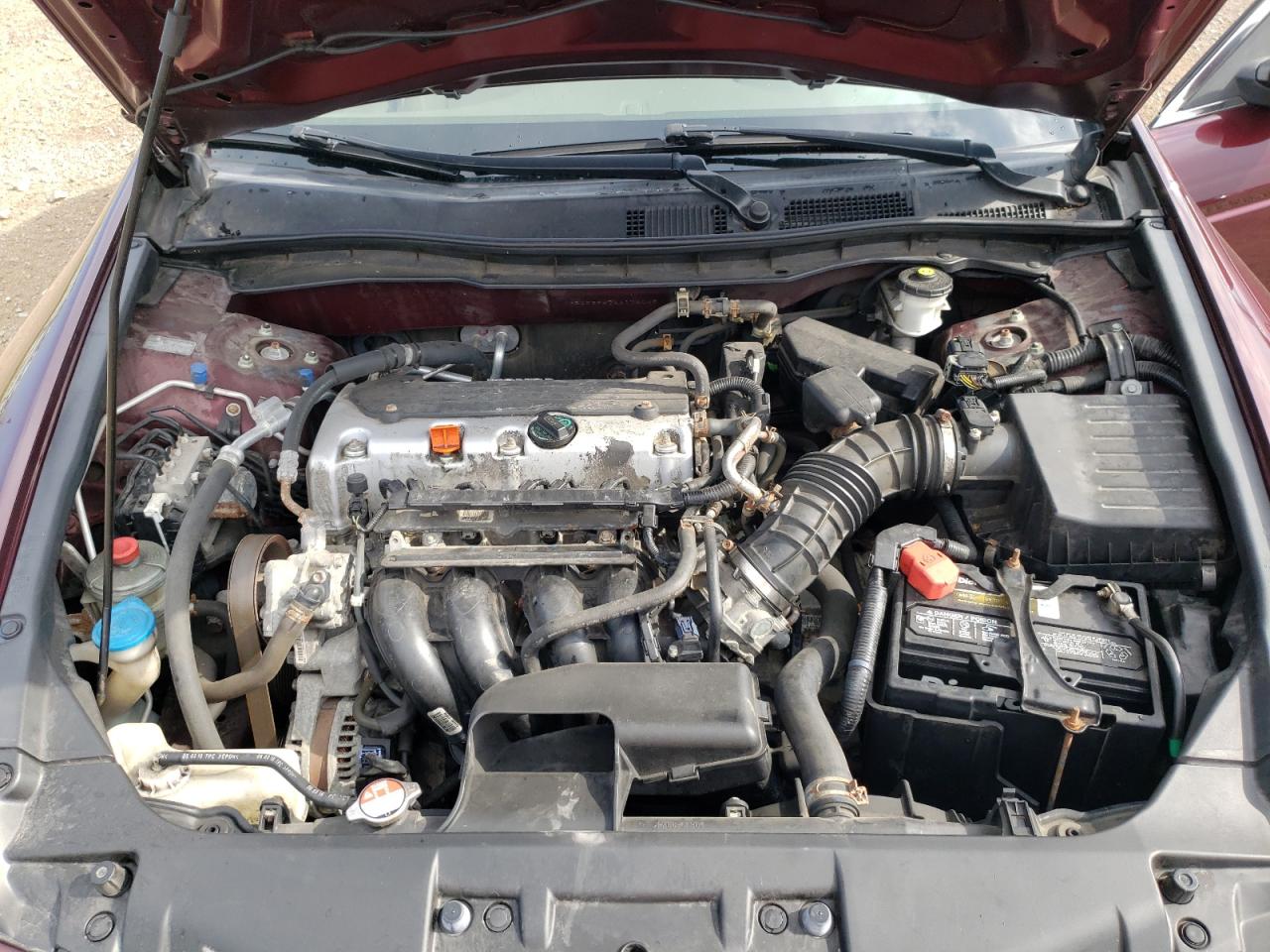 2010 Honda Accord Lxp VIN: 1HGCP2F47AA174045 Lot: 64723155