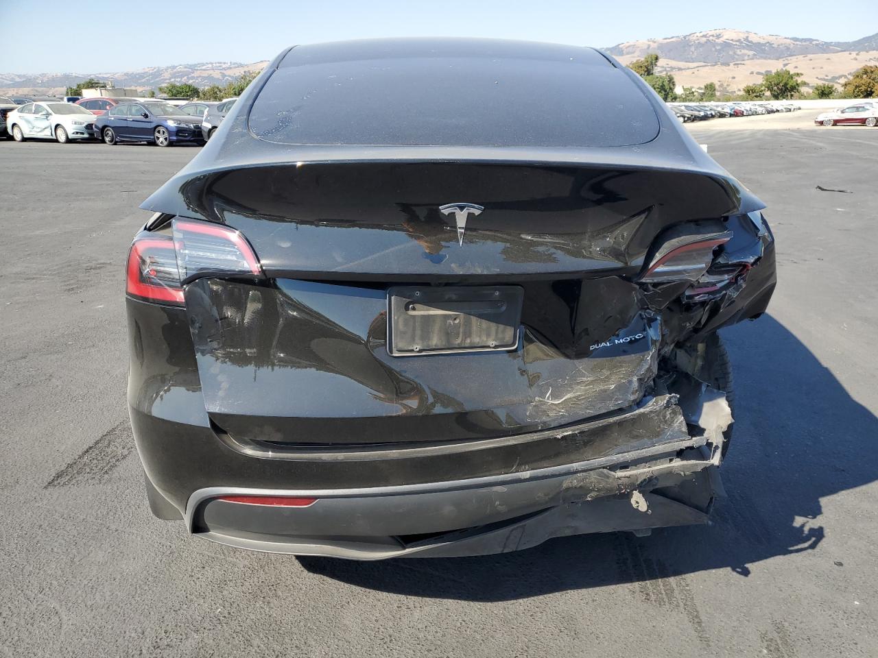 2024 Tesla Model Y VIN: 7SAYGDEE5RF986749 Lot: 64815895