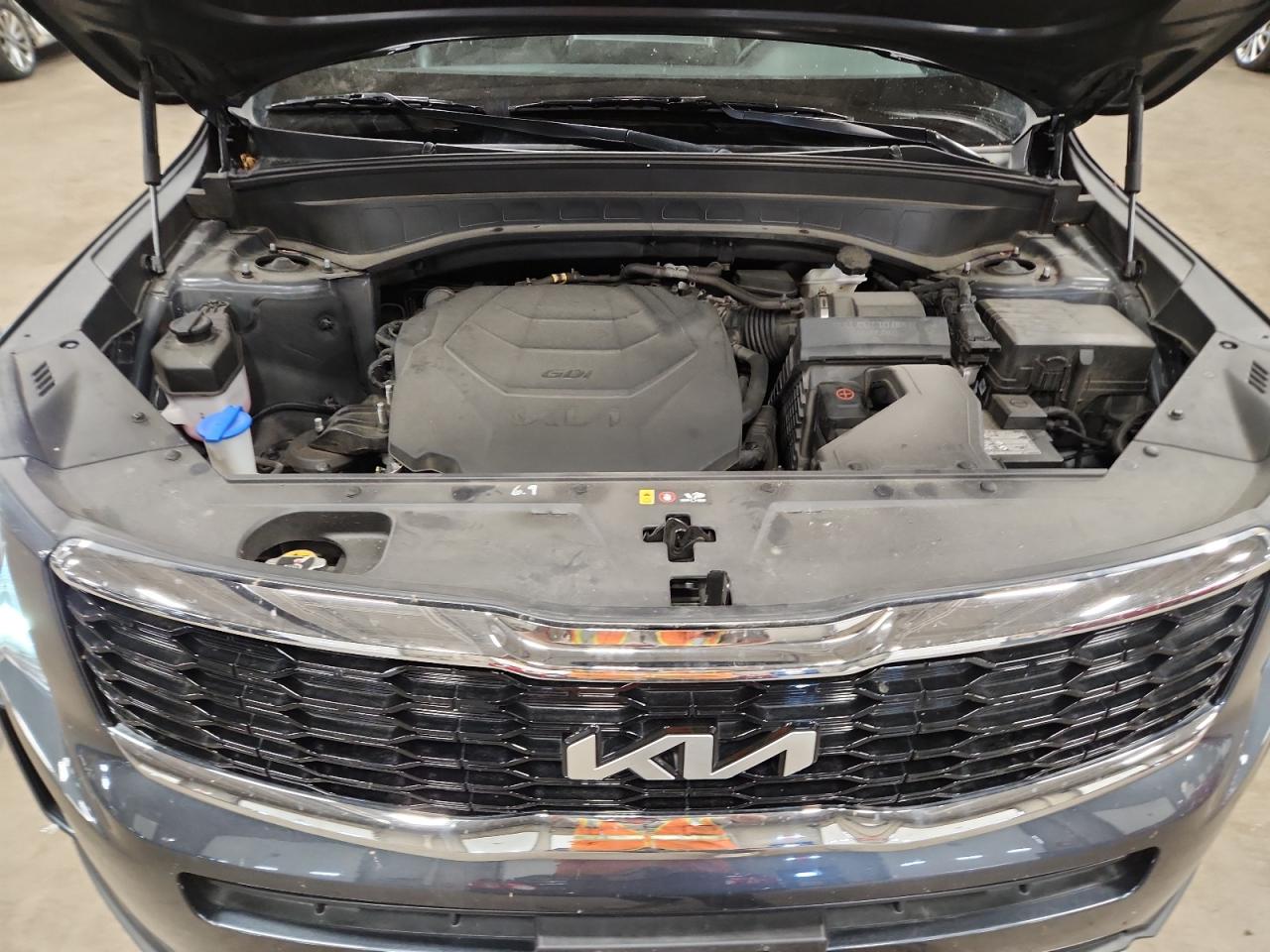 2022 Kia Telluride Lx VIN: 5XYP2DHC7NG251114 Lot: 65511995