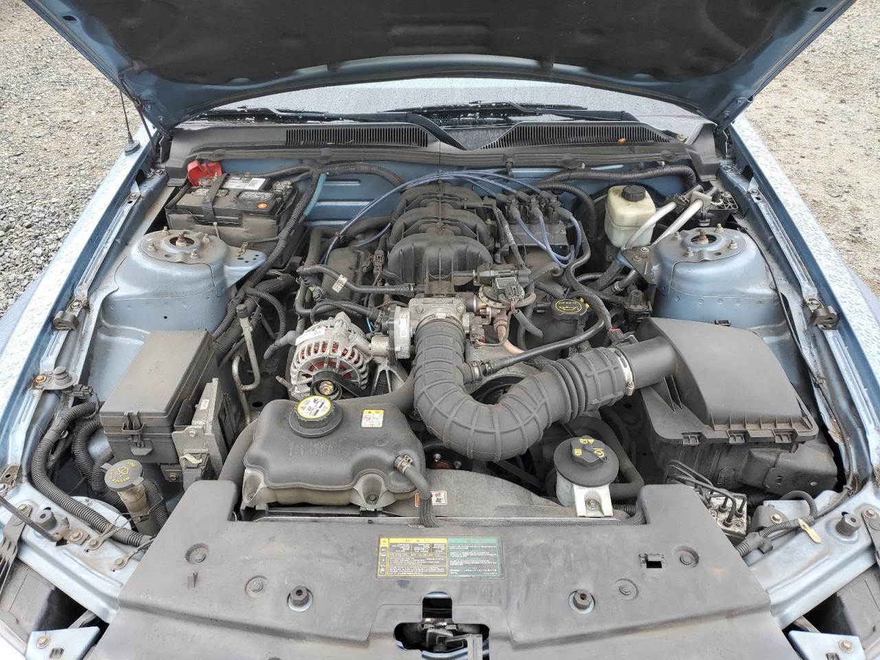 2006 Ford Mustang VIN: 1ZVFT80N265263577 Lot: 64187895