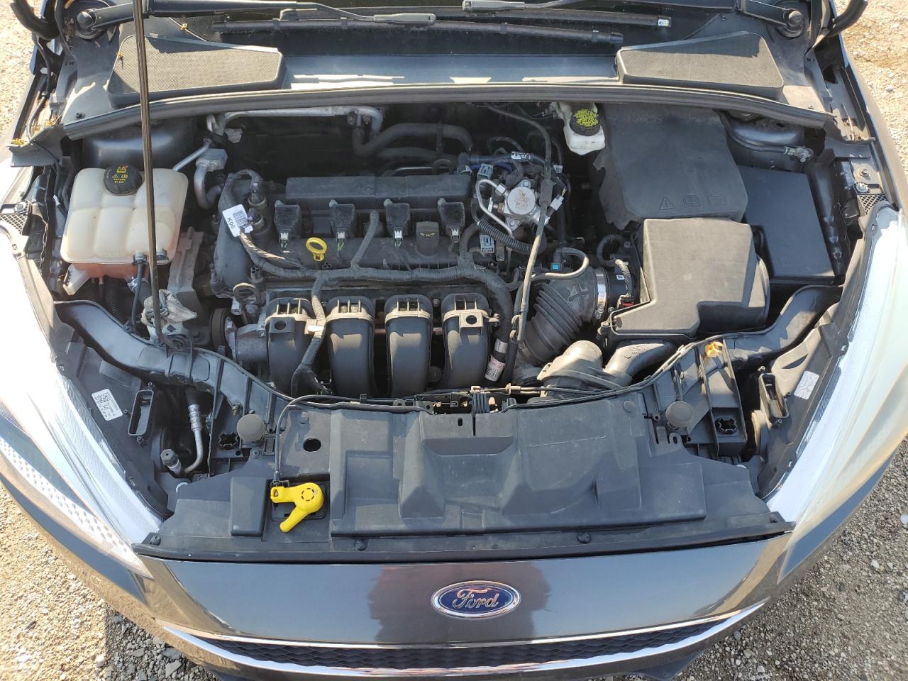 2018 Ford Focus Se VIN: 1FADP3K21JL316591 Lot: 62742535