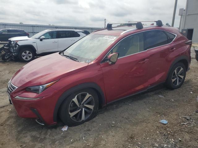  LEXUS NX 2019 Burgundy