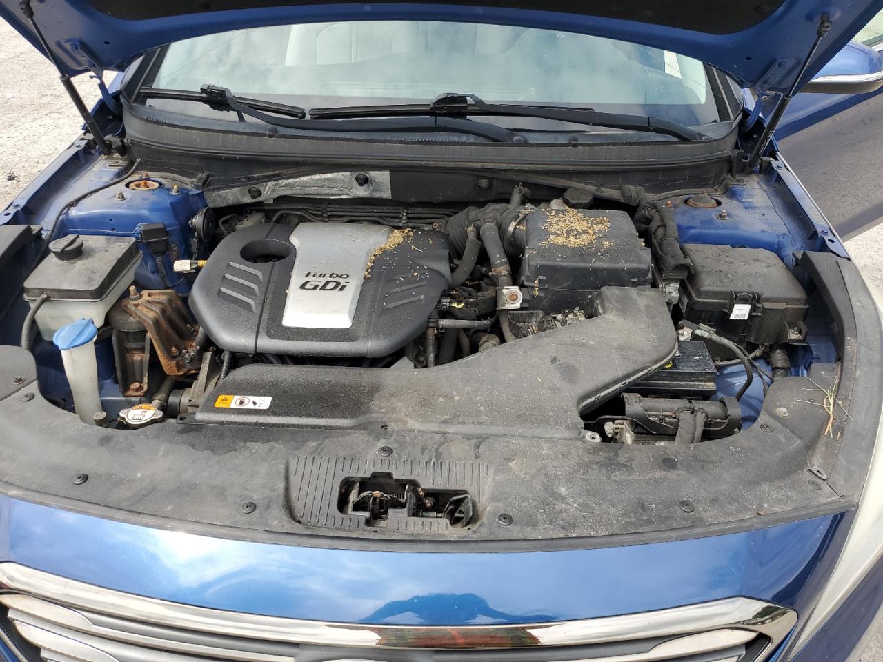 2015 Hyundai Sonata Eco VIN: 5NPE24AAXFH173180 Lot: 65566515