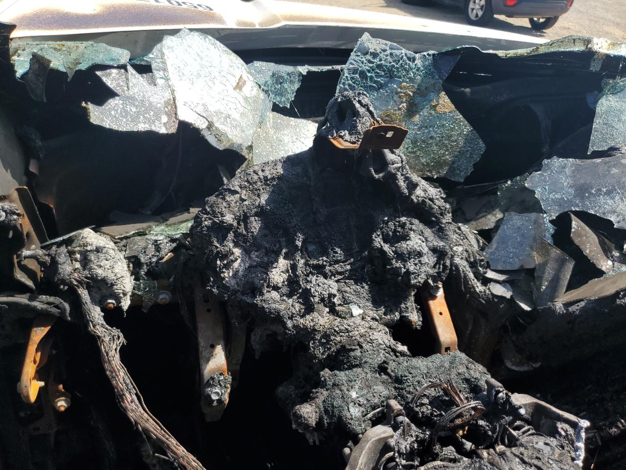 2021 Kia Telluride Ex VIN: 5XYP3DHC1MG181511 Lot: 65017915