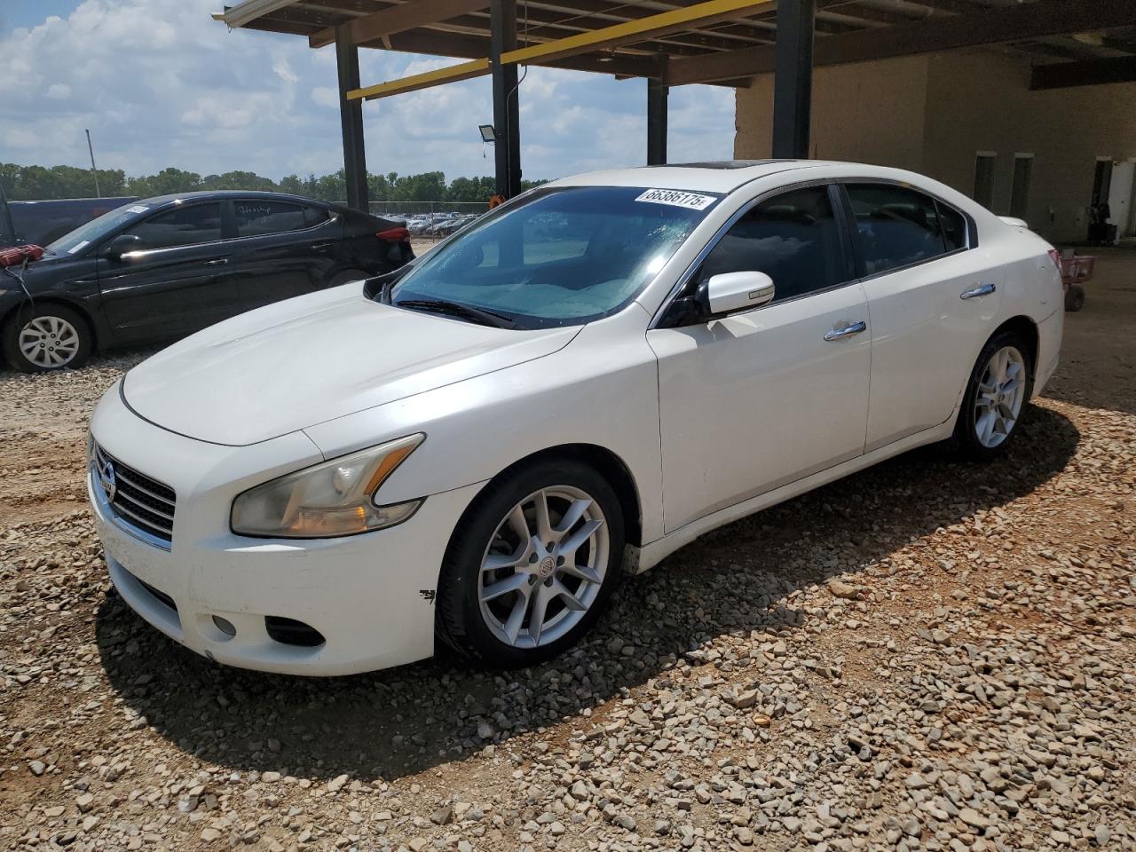 2010 Nissan Maxima S VIN: 1N4AA5AP3AC830990 Lot: 66386175