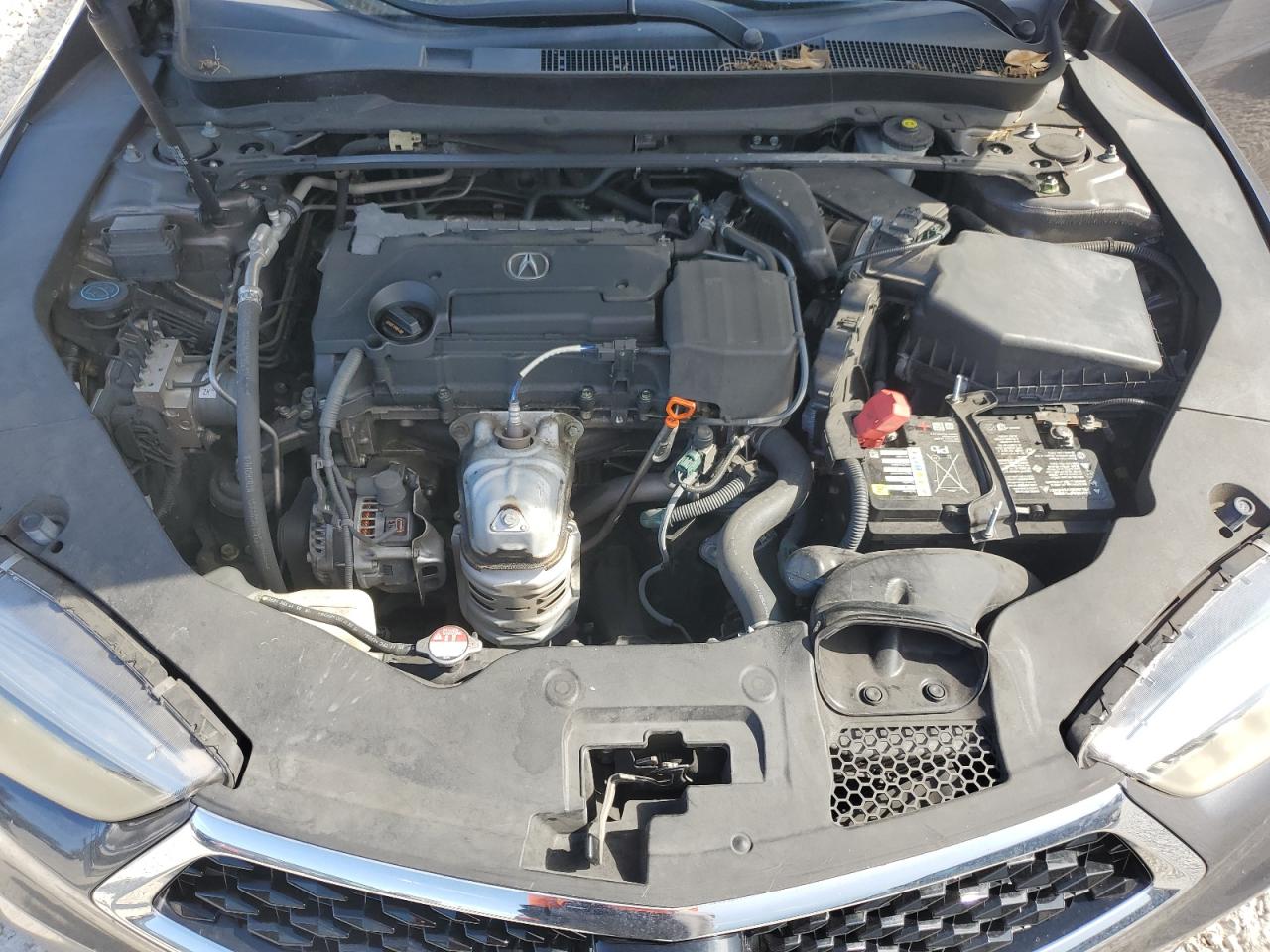 19uub1f57ka007983 19UUB1F57KA007983 2019 Acura Tlx Technology