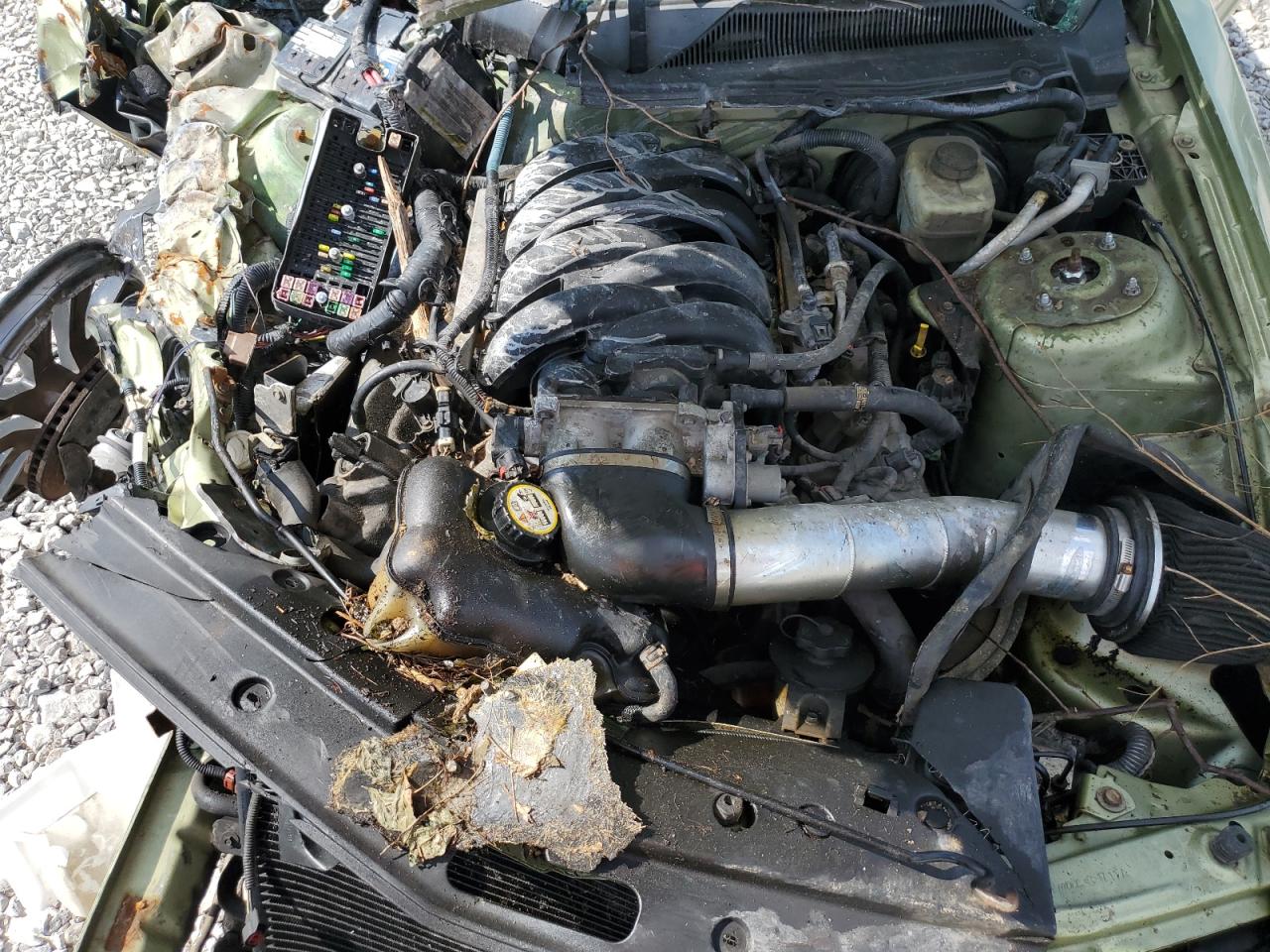 2006 Ford Mustang Gt VIN: 1ZVHT82H965239115 Lot: 65013805