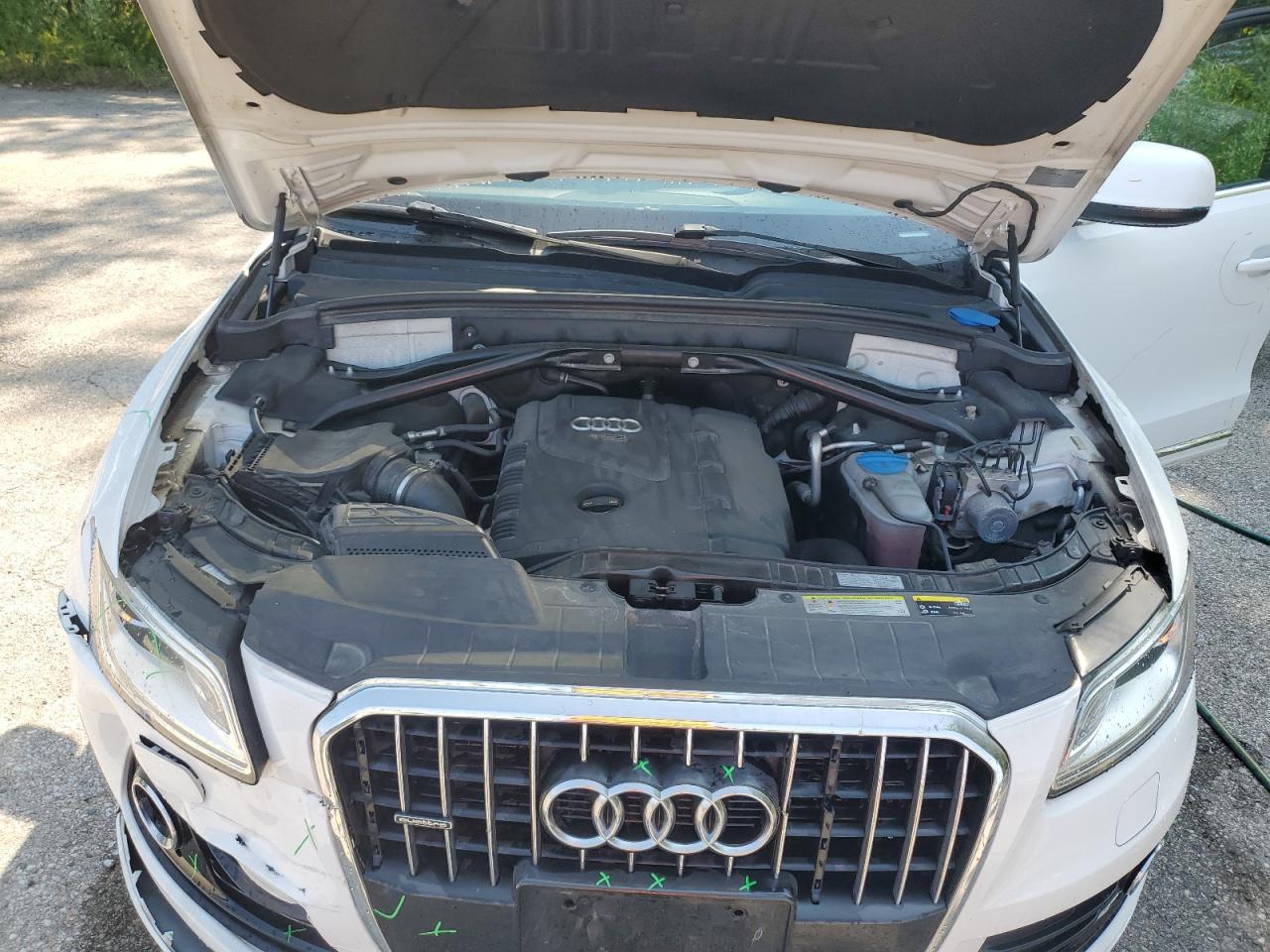 2013 Audi Q5 Premium Plus VIN: WA1LFCFP4DA097599 Lot: 64256635