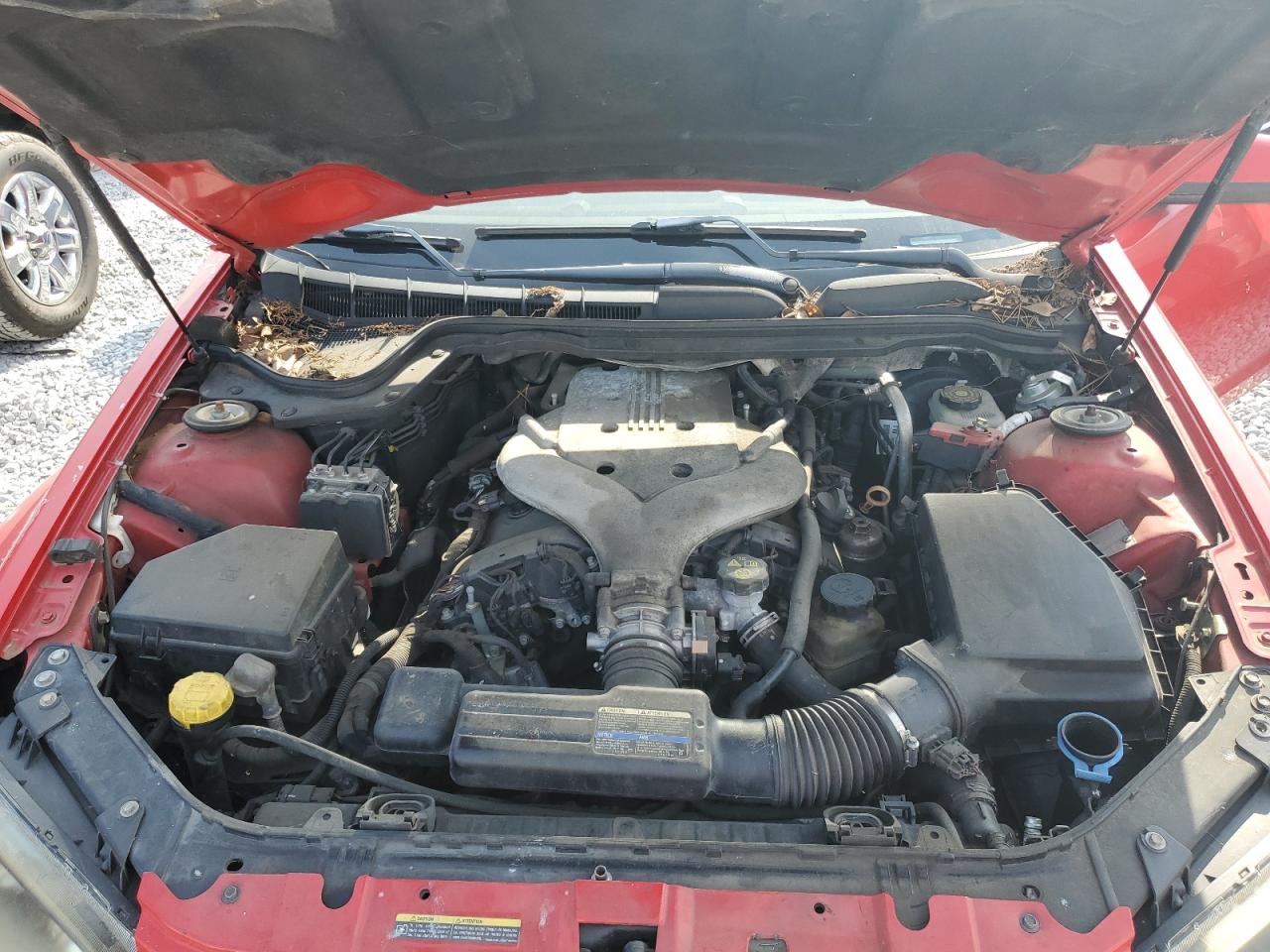2008 Pontiac G8 VIN: 6G2ER57738L988467 Lot: 65653095