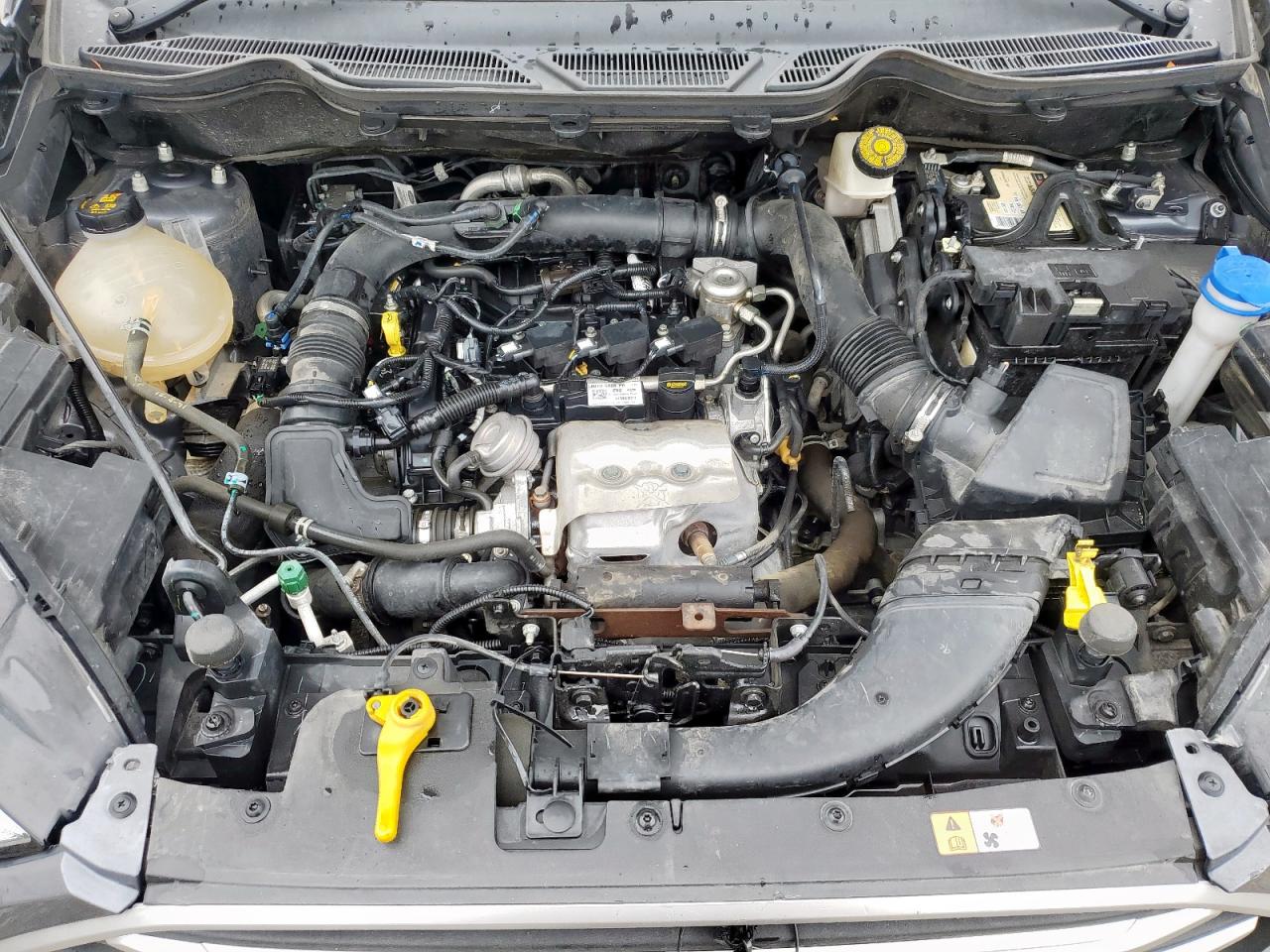 2021 Ford Ecosport Se VIN: MAJ3S2GE2MC441613 Lot: 63488065