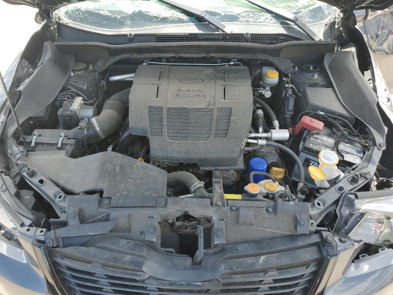 2021 Subaru Forester Sport VIN: JF2SKARC5MH407049 Lot: 64281605