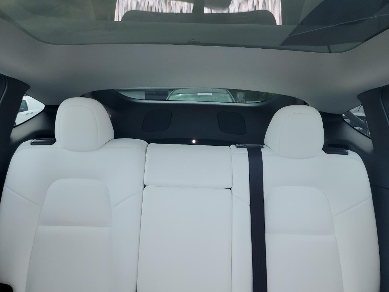 2022 Tesla Model Y VIN: 7SAYGDEF0NF497582 Lot: 65131685
